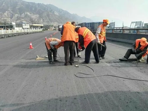 惠东道路桥梁病害治理